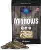 Minnows